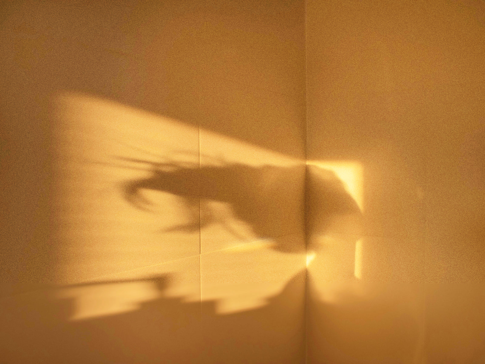 L'odore di ciò che amiamo: scopri il Discovery Set Traces of Love