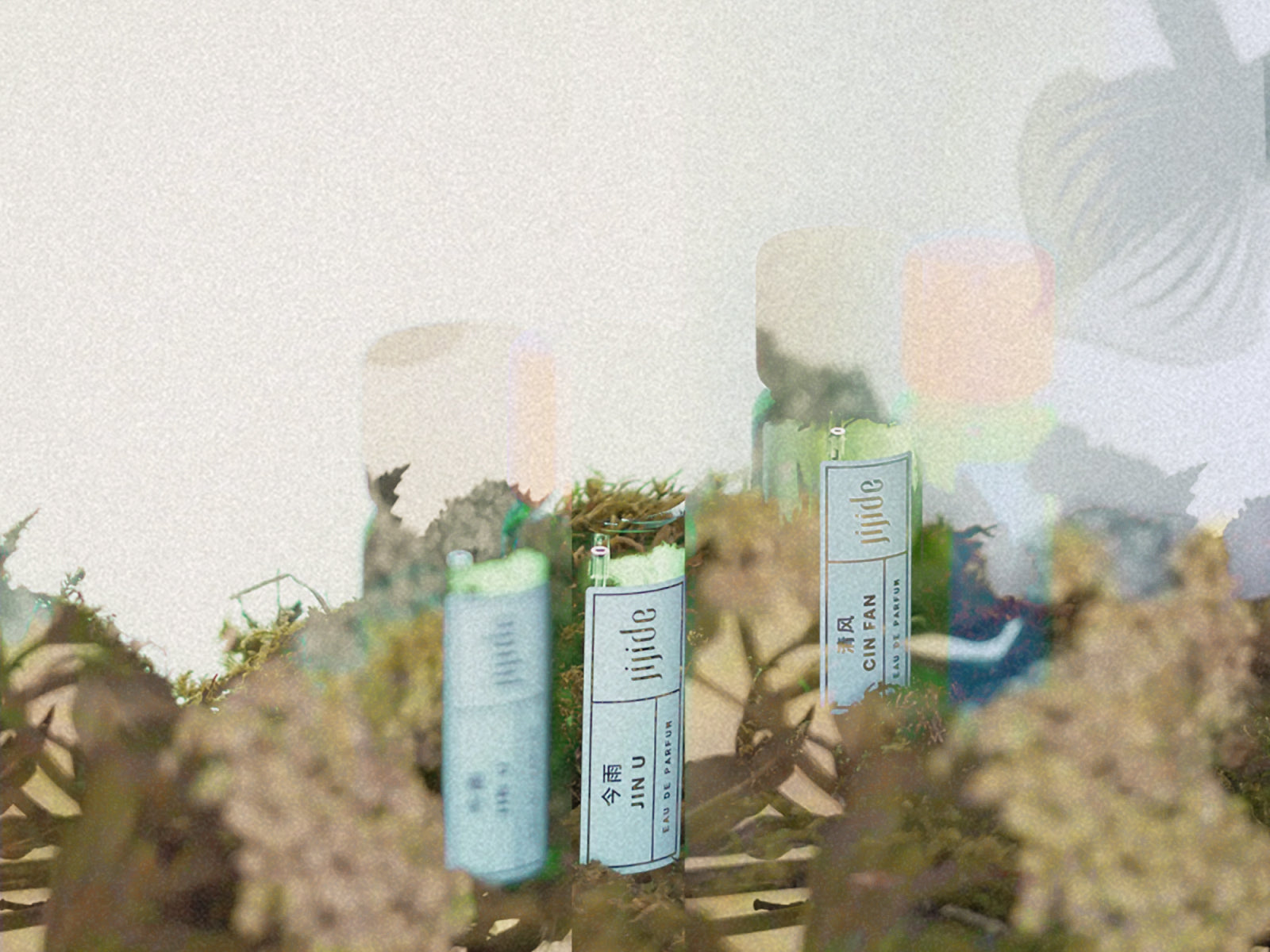 Jin U e Cin Fan: Tra Espressione e Silenzio