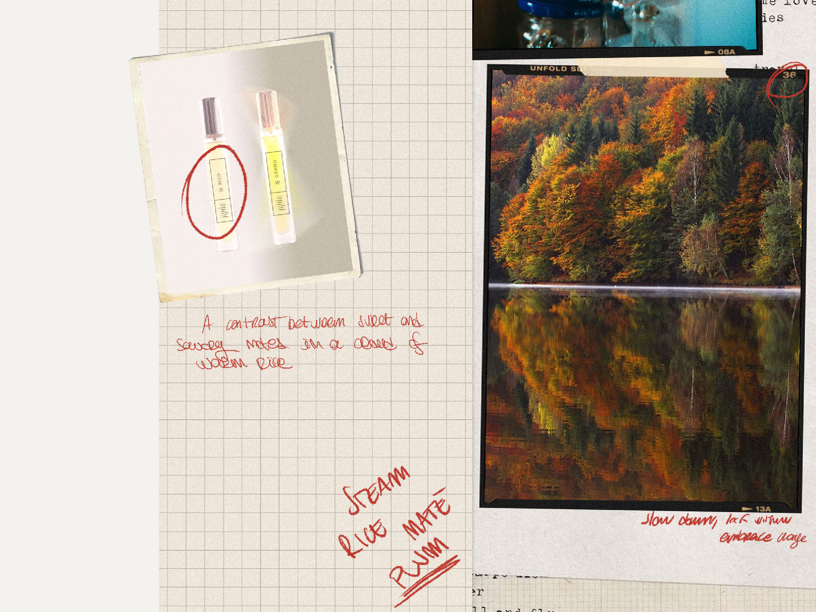 Live the Jijide fragrances
Wear them, let yourself be guided by the sensations and discover which one truly belongs to you.