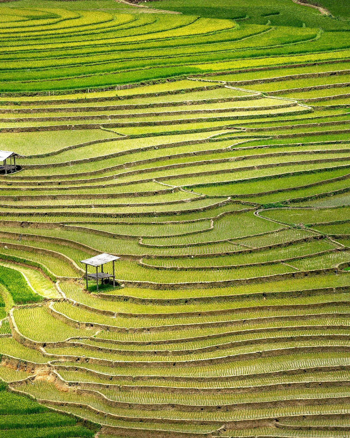 jijide facets of nature profumi di nicchia discovery set profumi naturali