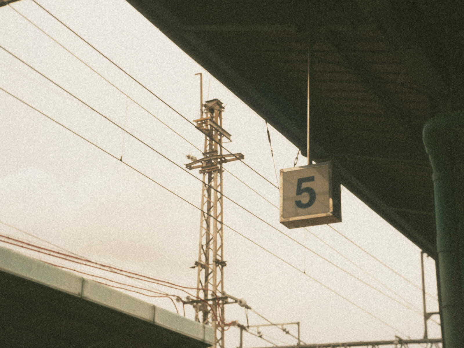 Wu Xing: i Cinque Elementi e il profumo