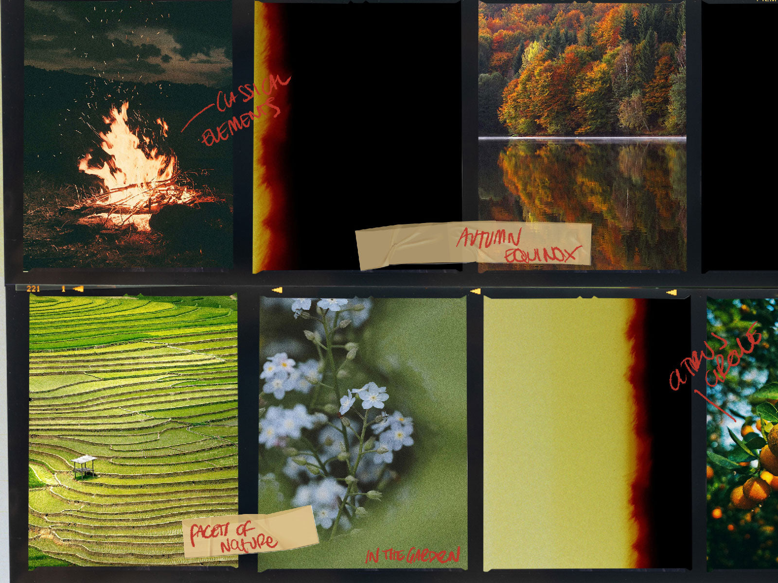 Choose your Discovery Set
Follow your instinct and let our themed Discovery Sets inspire you. Each selection is an invitation to explore olfactory worlds that will surprise you