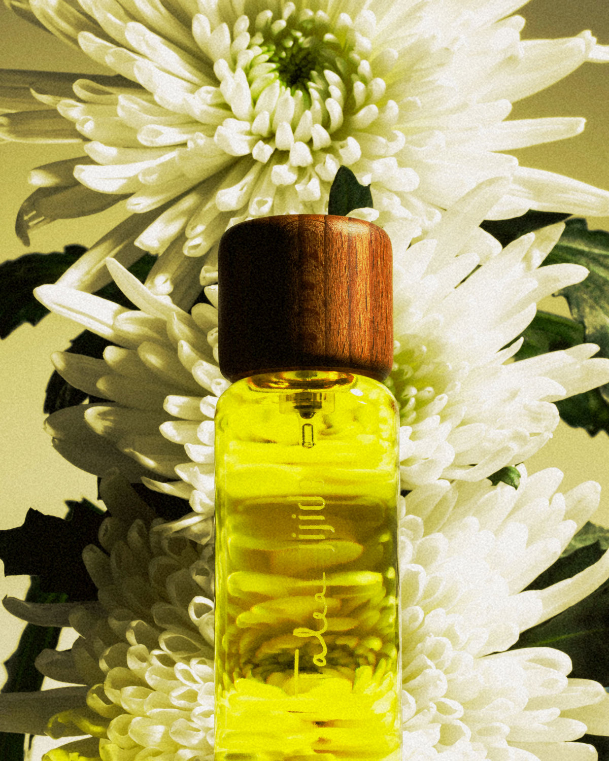 Meet Talea: Sample 2 ml + Masterclass